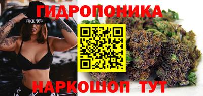 сатива Будённовск