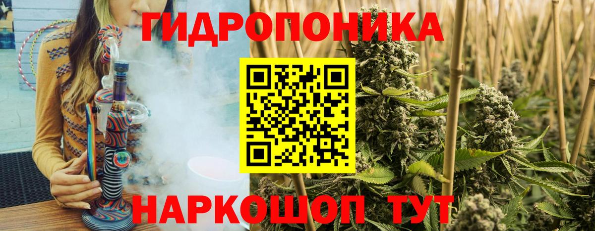 Кандалакша  Марихуана марихуана  Бошки Шишки тримм  Вход с VPN  Конопля конопля 